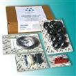 Wittur maintenance kits